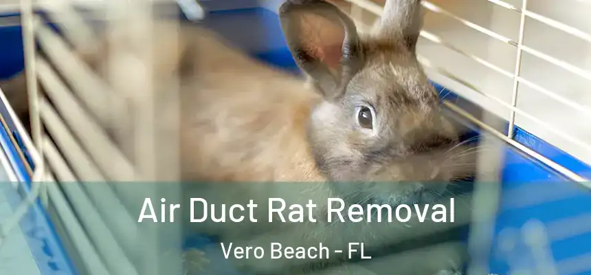  Air Duct Rat Removal Vero Beach - FL
