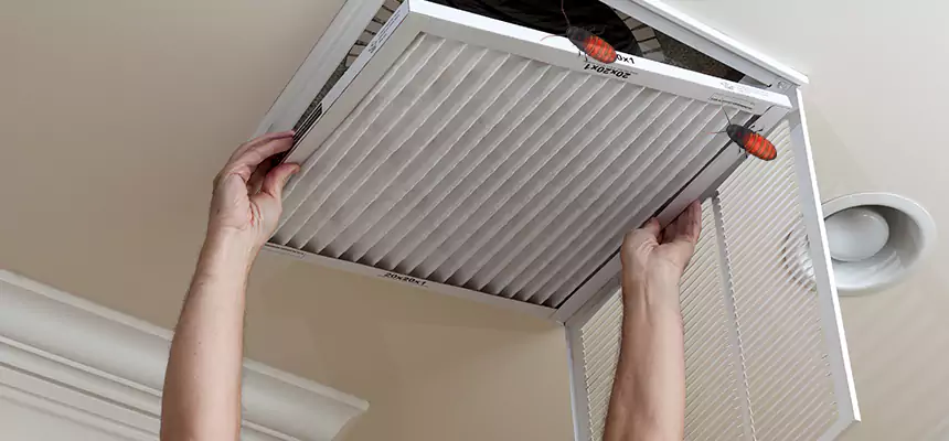 Preventive Cockroach-Proofing for Ducts in Vero Beach