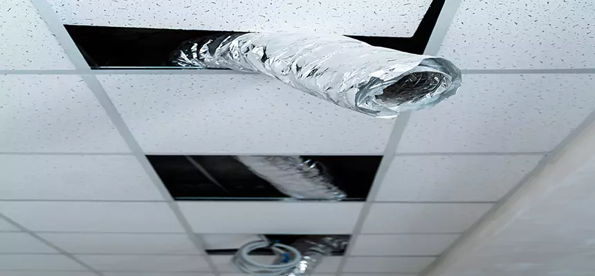 Affordable HVAC Sanitizing After Pest Removal in Vero Beach