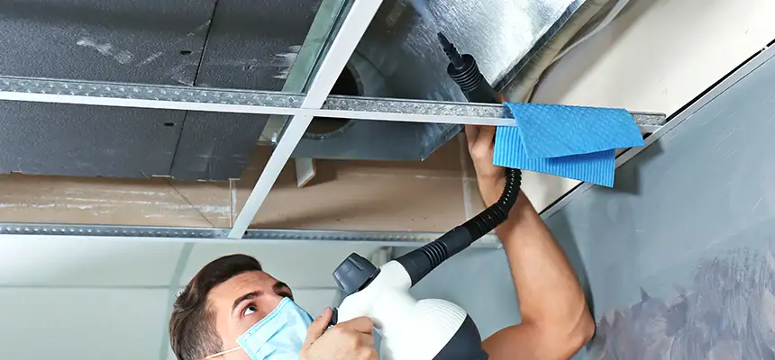 Our Air Duct Rodent Removal Services in Vero Beach, FL
