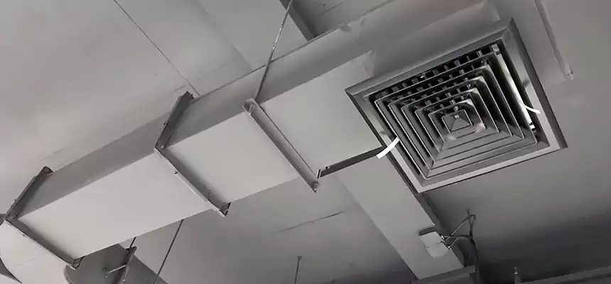 Restorative Allergy Relief Vent Cleaning – Coil, Blower & Housing Detail in Vero Beach