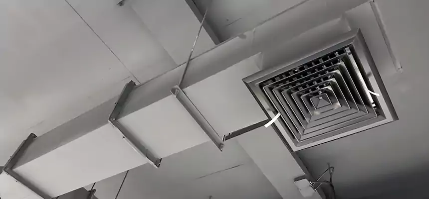 Our Rodent Droppings In Vents Services in Vero Beach, FL