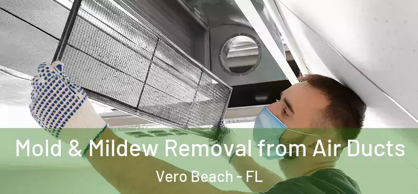  Mold & Mildew Removal from Air Ducts Vero Beach - FL