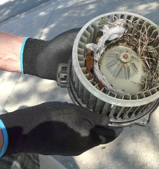 About Air Duct Mice Removal in Vero Beach, FL