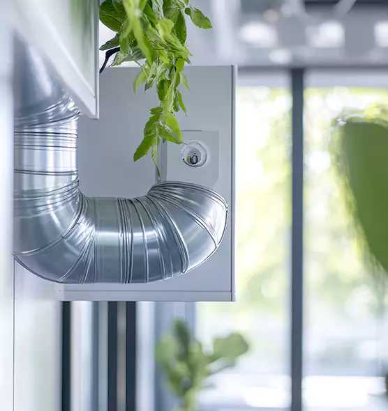 Professional Eco-Friendly Duct Cleaning Services in Vero Beach, FL