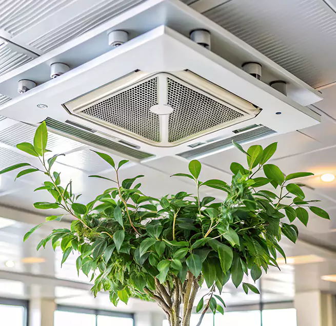 Why Homeowners & Businesses Trust Us in Vero Beach, FL?