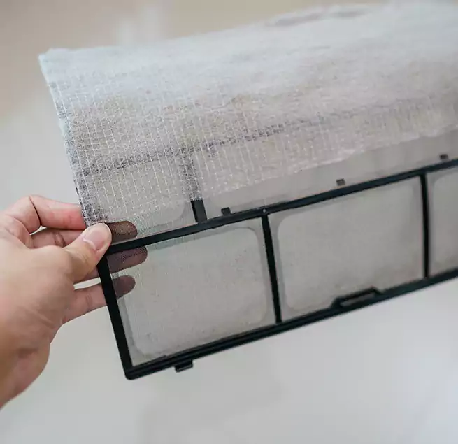 Why Homeowners & Businesses Trust Us in Vero Beach, FL?