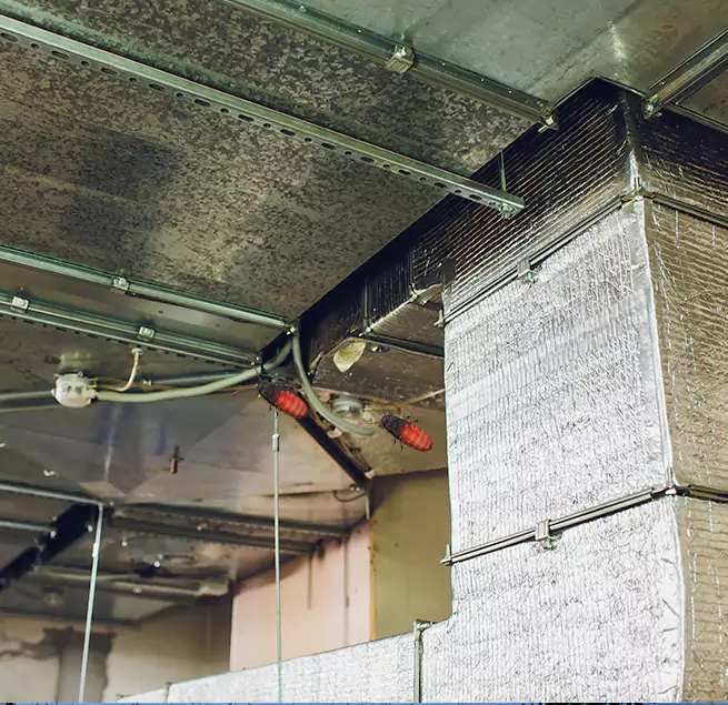 Why Homeowners & Businesses Trust Us Vero Beach, FL?