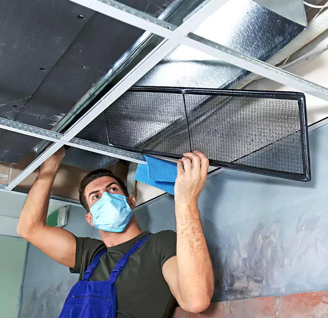 Why Homeowners & Businesses Trust Us in Vero Beach, FL?